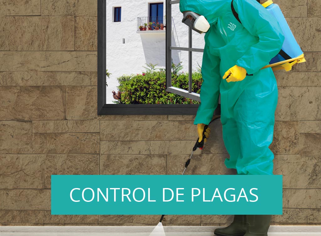 posidonia-sanidad-ambiental-control-plagas-movil-sliders-1